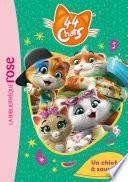 44 Chats 01 - Un chiot à sauver
