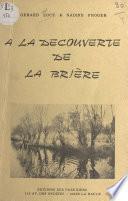 À la découverte de la Brière