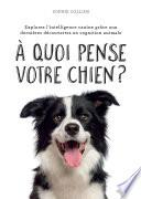 À quoi pense votre chien ?