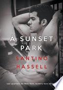 A Sunset Park