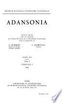Adansonia