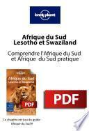 Afrique du Sud - Comprendre l'Afrique du Sud et Afrique du Sud pratique