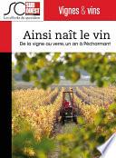 Ainsi naît le vin