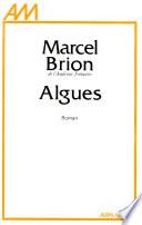 ALGUES velin du marais