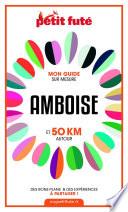 AMBOISE ET 50 KM AUTOUR 2021 Carnet Petit Futé