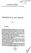 Amélioration de la race chevaline