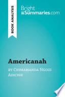 Americanah by Chimamanda Ngozi Adichie (Book Analysis)
