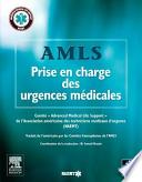 AMLS