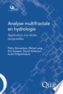 Analyse multifractale en hydrologie