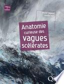 Anatomie curieuse des vagues scélérates