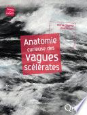 Anatomie curieuse des vagues scélérates