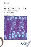 Anatomie du bois
