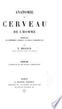 Anatomie du cerveau de l'homme v. 2