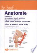 Anatomie