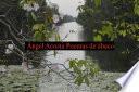 Livre Ángel Acosta Poemas de ábaco.