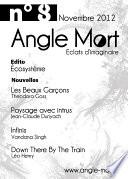 Angle Mort numéro 8