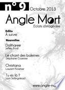 Angle Mort numéro 9