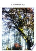 Anne, son bourreau et la sorcière