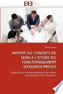 Apport Du Concept de Sens a L'Etude Du Fonctionnement D'Equipes Projet