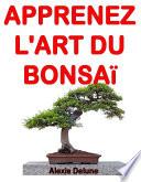 Apprenez l'art du Bonsaï : Astuces pour des arbres resplendissants