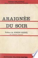 Araignée du soir