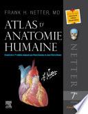 Atlas d'anatomie humaine