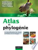 Atlas de phylogénie