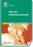 Atlas Palpationsanatomie