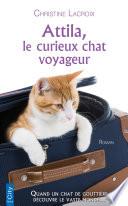 Attila, le curieux chat voyageur