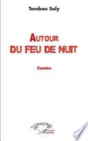 Autour du feu de nuit