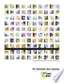 Avis sur le renouvellement de la Fonction publique municipale