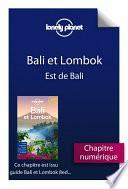 Bali et Lombok 8 - Est de Bali