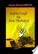 Barbotage en eau trouble