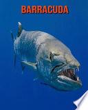 Barracuda