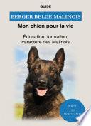Berger Belge Malinois