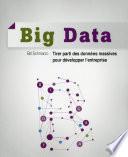 Big Data - Tirer parti des données massives pour développer l'entreprise