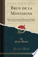Brun de la Montaigne