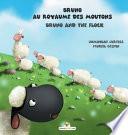 Bruno au royaume des moutons - Bruno and the flock