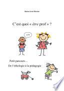 C'est quoi être prof ?