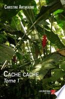 Cache cache