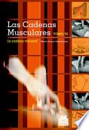 Livre CADENAS MUSCULARES, LAS (Tomo VI). La cadena visceral (Bicolor)