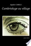 Cambriolage au village