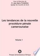 Cameroon criminal procedure code and international criminal law