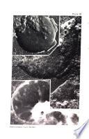 Canadian Journal of Microbiology