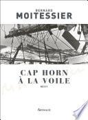 Cap Horn à la voile - 14 216 milles sans escale