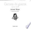 Carnets de guerre, 1914-1918