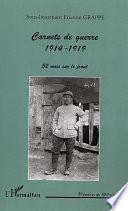 CARNETS DE GUERRE 1914-1919