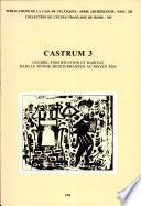 Castrum 3