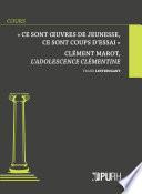 « Ce sont œuvres de jeunesse, ce sont coups d'essai »
