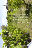 Cépages hybrides: une expérience de viticulture et vinification en Berry